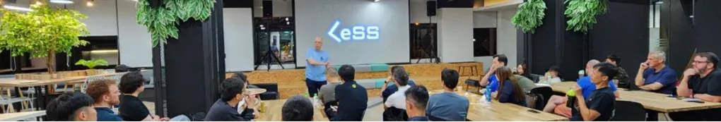 LeSS Singapore
